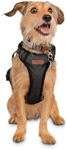Reddy Road Trip Crash-Tested Dog Harness, Medium