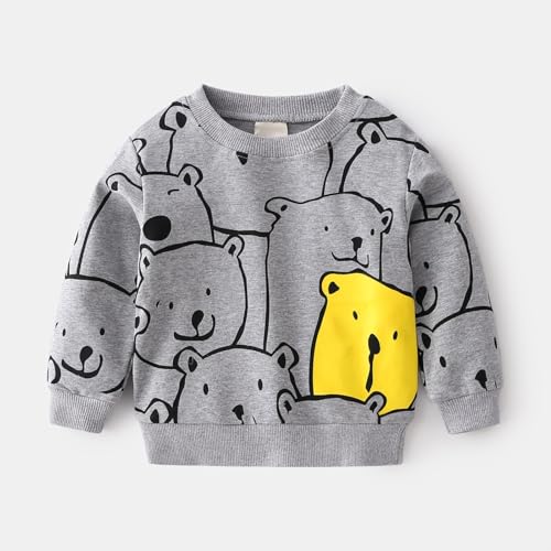 Kids Boys Cute Sweatshirts Bear Graphic Long Sleeve Crewneck Hoodies Y2K Cotton Pullover Shirts Fall Winter Clothes3