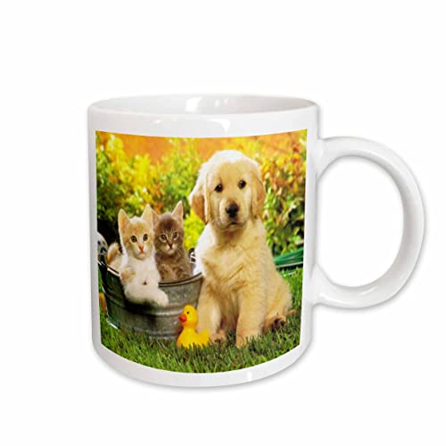 3dRose LLC 8 x 8 x 0.25 Inches So Cute Lab Puppy and Kittens 11oz Mug