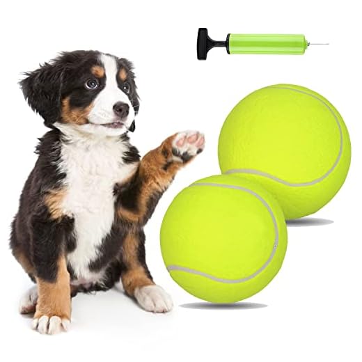 PULEEBO 2 Pack Big Tennis Ball for Dogs 9.5" and 8" Inflatable Giant Tennis Balls Large Pet Toys Ball Funny Outdoor Sports