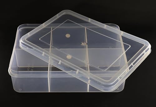Image of NMII Multipurpose Plastic Storage Box with Partitions | Transparent Organizer with Secure Lid | Ideal for Stationery, Craft Supplies, Tools, and Jewellery, Accessories | Lightweight-(6 Partitions)