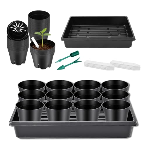 Dualshine Seed Starter Tray Kit - 60-Pack 3.4 Inch Round