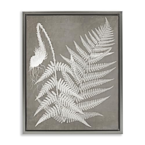 Layered Fern Botanicals Nature, 17 x 21 Inch Canvas in Floater Frame