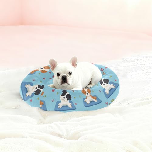 Panier pour chien bleu S contre le stress du chiot - 3