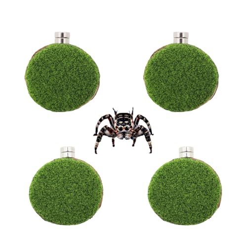 MHLLGN Jumping Spider Accessories, 4 Pack Wooden Ledges with Magnets, Natural Pine Spiders Ledges, Jumping Spider Enclosure Accessories, Magnetic Reptile Ledge