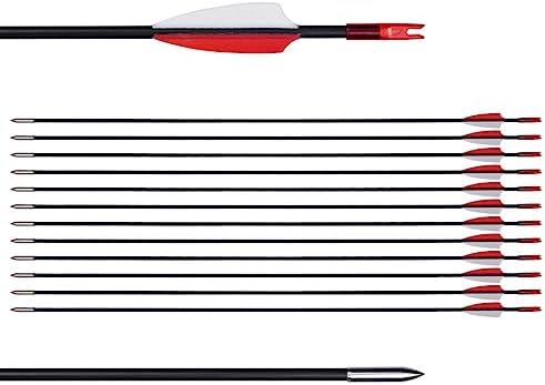 LWANO 31″ Training Arrows-Archery Practice Target Arrows for Kids Youth or Beginners with Durable Shaft on Recurve Bow Compound Bow and Longbow LWANO 31″ Training Arrows-Archery Practice Target Arrows for Kids Youth or Beginners with Durable Shaft on Recurve Bow Compound Bow and Longbow