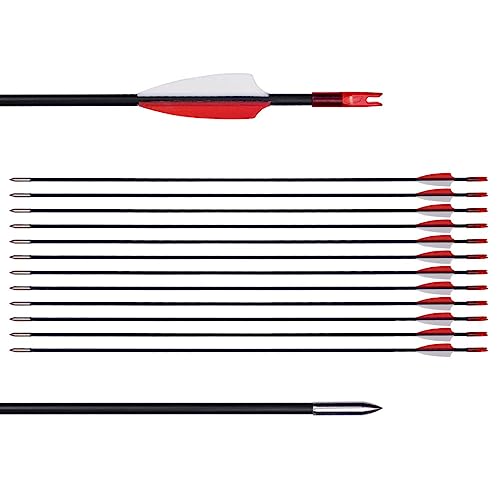 Find The Best Arrows For Target Practice Reviews & Comparison Katynel