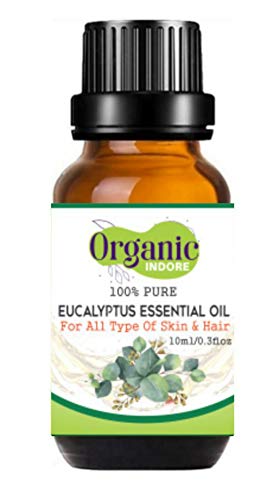 Organic Indore Eucalyptus Essential Oil