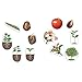 Learning Resources Giant Magnetic Plant Life Cycle - STEM Growing Seed, Montessori Tree , Biology Cards, Classroom Teacher Must Haves Activities, Science Homeschool Essentials, Gifts for Students
