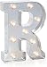 Darice Silver Metal Marquee Letter 9.875"-R