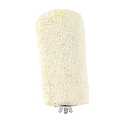 Alasum Pumice Chew Toy for Healthy Teeth and Gums Ledge for Small Animals Like Hamsters Gerbils and Chinchillas Random Color