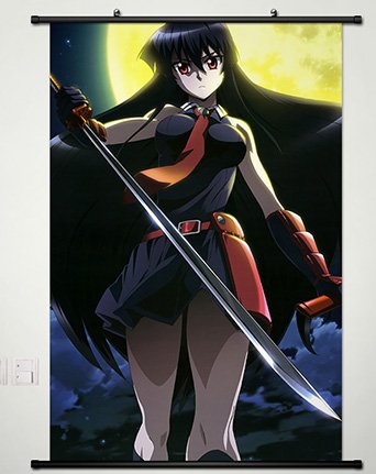 Wall Scroll Poster Fabric Painting for Anime Akame 028 S