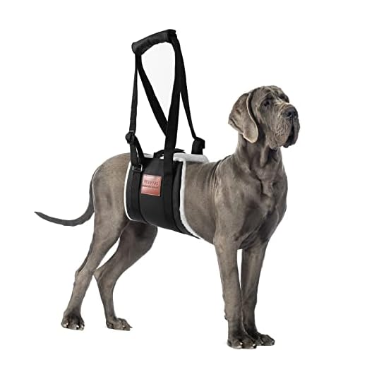 S-ETOVUS Dog Sling for Back Legs, Dog Lift Harness, Velcro Dog Sling for Large Dogs Hind Leg Support, Elderly Dog Lifter, Help Canie Hip Arthritis K9 Cruciate Ligament Rehabilitation (Large) Black