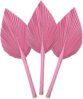 3Pcs Dried Palm Leaves,Natural Dried Palm Spears,Small Dried Palm Fan Colour Palm Spears Plant with Stem Boho Home, Party ,Wedding,Wall,Cake ,Decorating,DIY bouquet Arrangement