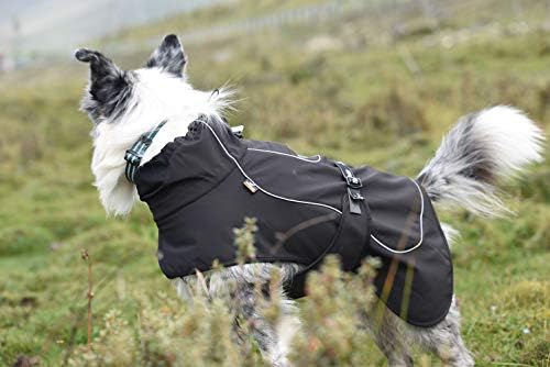 track and tail dog jacket
