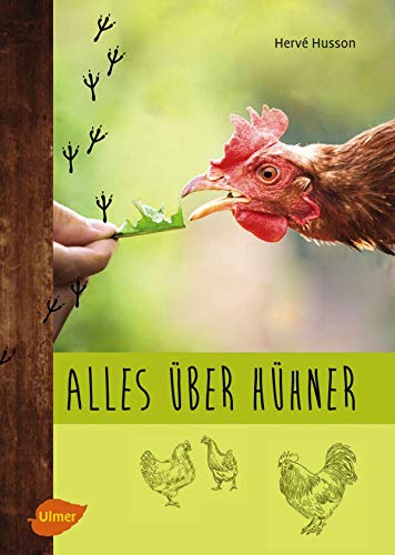 Alles Uber Huhner Artgerechte Hobbyhaltung Zucht Und Die Passenden Rassen Fur Den Garten Ebook Husson Herve Amazon De Kindle Shop