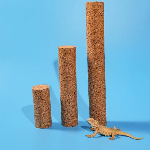 Branche de liège grimpante pour reptiles marron : évitez l'ennui de vos animaux
