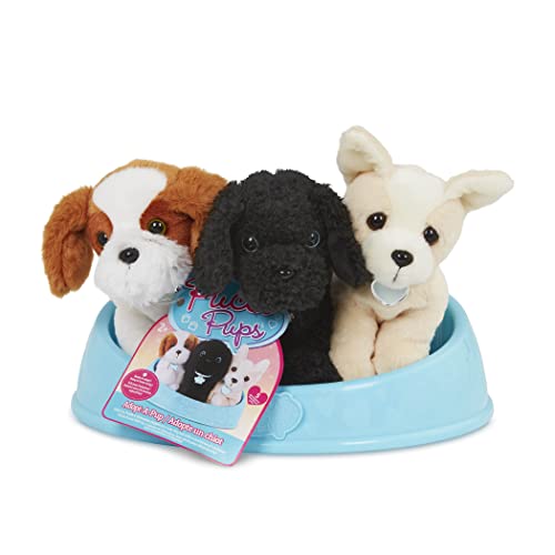 Pucci Pups - Adopt-A-Pup - Plüsch Hund - Welpe Spielset - Ausgestopfte Tiere - Spielzeughund mit Korb - 2 Jahre +