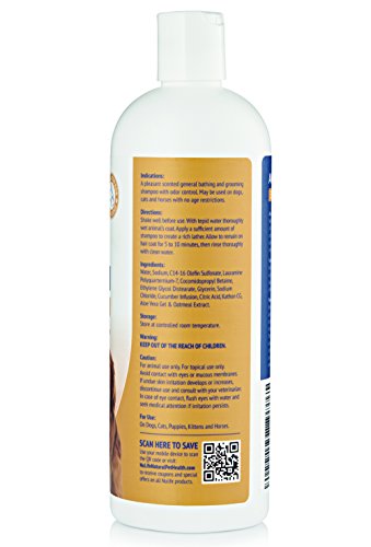 Oatmeal Dog Shampoo With Soothing Aloe Vera, Sensitive Skin Dog Shampoo For All Pets, With Tropical Fresh Pina Colada Scent, Hypoallergenic Formula Provides Relief From Allergies & Dry Itchy Skin #TOP5