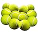 Iconikal Dog Pet Toy Bulk Tennis Balls for Small Dogs and Cats, Green, 2.5-Inch Diameter, 12-Pack