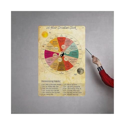 VUQLDHAYZ Vintage 24 Hour Organ Body Clock Chart Circadian Rhythm