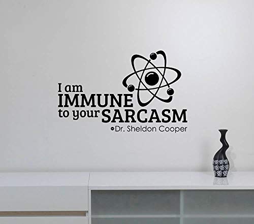 VINILO DECORATIVO SHELDON THE B B THEORY 70X50 CM.