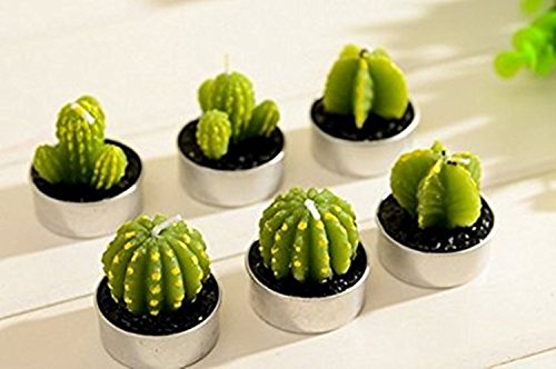WISDOMTOY 6-Piece Mini Lovely Green Meat Plant Cactus Romantic Candle