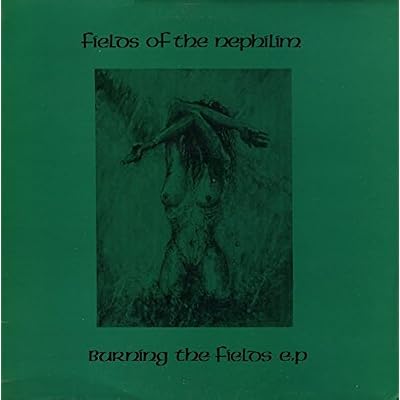 Burning The Fields EP
