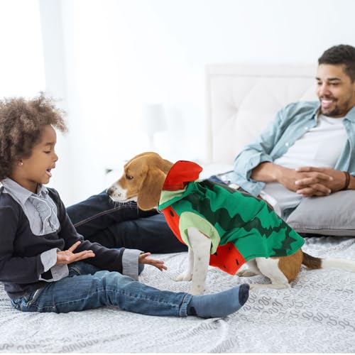 Disfraz para perro modelo sandía talla XL miniatura 5