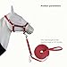 LUCKIEST MAP 2PCS Adjustable Horse Halter&Horse Training Lunge LINE Double-Buckle Anti-Entanglement Soft BUT Firm Used for Equestrian Training and Training