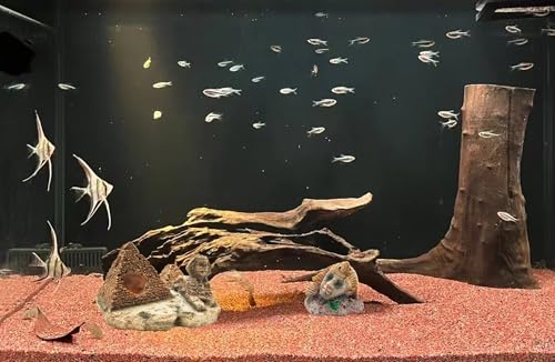 Image of M2cbridge Aquarium Decor Castle Shipwreck Ornament Underwater Landscape(Egyptian Pyramid + Pharaoh)
