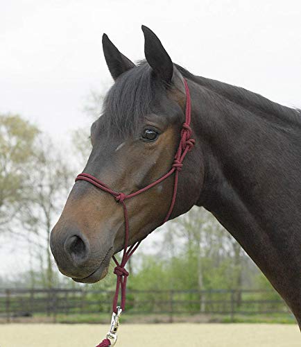 Foto von Busse Knotenhalfter Standard, Bordeaux, WB/KB