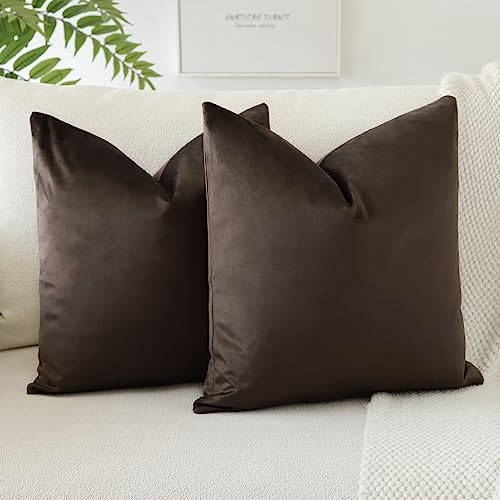 JOTOM Pack of 2 Velvet Soft Solid Cushion Covers 40x40 cm 16x16 Inch Decorative Throw Pillow Covers Square Cushion Case Home Decor Pillow Cases for Couch Sofa Living Room Bedroom (Chocolate Brown)