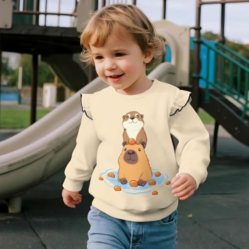 Long Sleeve Tops for Girls Toddler Girl Sweatshirt Suit Fall Spring4