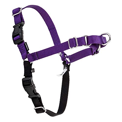 [ �y�b�g�Z�[�t ] Petsafe ���p �n�[�l�X �C�[�W�[�E�H�[�N ���^�`��^�� M/L �T�C�Y Easy Walk Harness M/L EWH-HC-M/L-DPP �f�B�[�v�p�[�v��/�u���b�N Deep Purple �U�� �g���[�j���O �y�b�g 