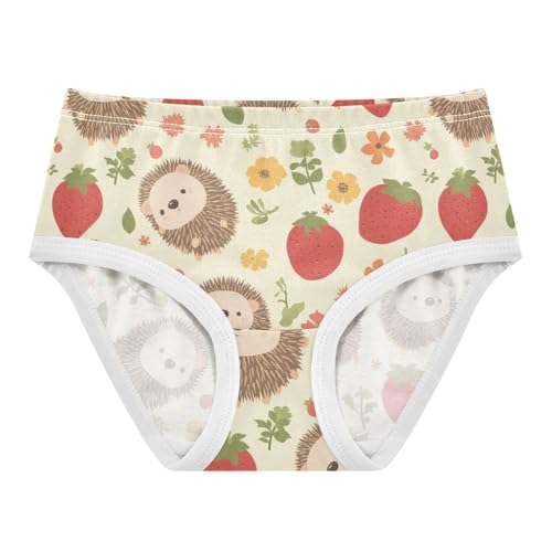 Wusikd Hedgehogs Strawberries Girls' Underwear Cotton Flowers Girls Briefs Soft Toddler Underwear 2T