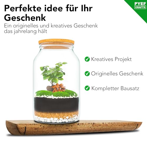 PYEF CRAFTS Flaschengarten Komplettset XL für Ökosystem im Glas - 4L Terrarium Pflanzen für Biotop Im Glas - Biosphäre Terrarium Set - Kit Ohne Pflanze (Flaschengarten Groß 4L)