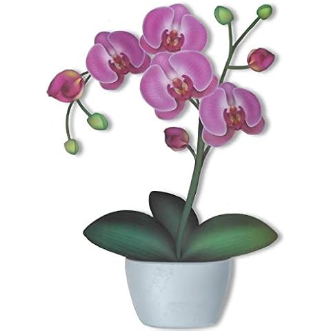 Articlings Flower Pot Static Clings Window Stickers, Decoration for Home and Garden - Orchid Cover