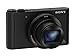 Sony DSCWX500/B Digital Camera with 3-Inch LCD (Black)