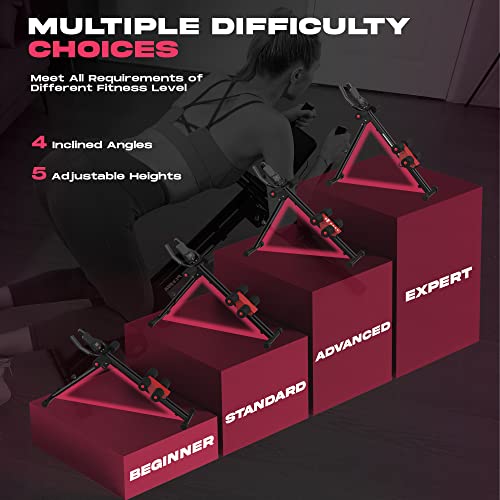 Flybird Ab Workout Equipment, Adjustable Ab Machine Full Body Workout For Home Gym, Strength Training Exercise Equipment For Body Shaping Foldable Waist Trainer Suitable For Beginner #TOP3