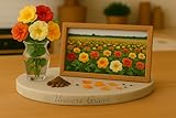 10 Graines CAPUCINE Naine - DOUBLE FLEUR - Tropaeolum nanum Whirlybird Double Mixed - Mélange de couleurs - Fleurs Jardin - 426