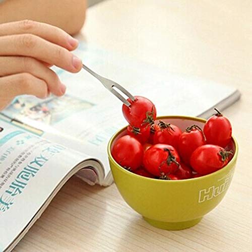 Ciieeo Lot De 4 Couteaux à Découper Des Fruits En Acier Inoxydable Et