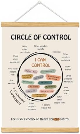 BAEMEFLE Boho Circle of Control Framed Inspirational Canvas Print, Positive Mindset Wall Decor for Therapist Counselor Office Homeschool Calm Down Corner 16x12 Inch (CIRCLE OF CONTROL, 16"L x 12"W, Framed)