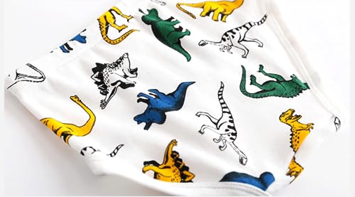 Boys' Dinosaur Briefs Assorted Underwear 6-Pack for 2-10 Years3
