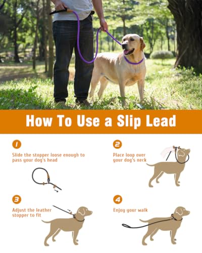 Image of 2 Pack Dog Leash Slip Lead Braided Rope Pet Training Loop Leashes 6ft 8ft