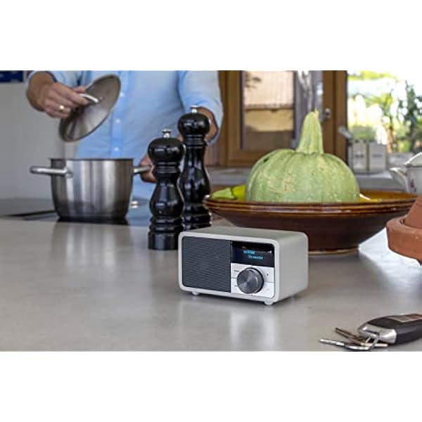 Kathrein DAB 1mini - Radio DAB /FM con display OLED per uso fisso e portatile, con Bluetooth, 1, DAB 1MINISILBER