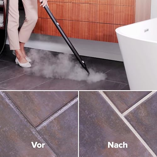 Dupray Neat Dampfreiniger – leistungsstarker Multifunktions-Dampfreiniger für Haus, Böden, Fliesen, Fugen, Möbel, Matratzen, Fenster, Autos & mehr (Neat + 17 Zubehörteile)