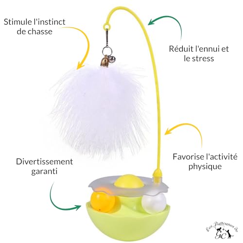 Les pattounes de G&C Jouet Chat Interactif 2 pièces - Boîte Duo Spéciale Jeu - Peluche Herbe à Chat - Chaton- Intérieur - Stimulant – Image 4