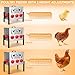 TGEYD 50LB Large Automatic Chicken Feeder – 8 Feeding Ports, No-Waste Poultry Feeder, with Adjustable Legs & Locking Lid