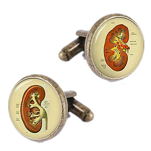 Kooer Vintage Bronze Human Anatomy Cufflinks Custom Anatomical Lungs Heart Cells Kidney Brain Bones Spine Eye (Bronze Cufflinks-Kidney)